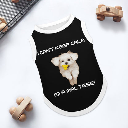 Can't Keep Calm Maltese