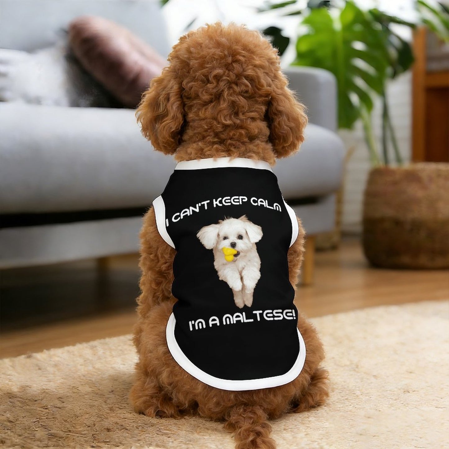 Can't Keep Calm Maltese