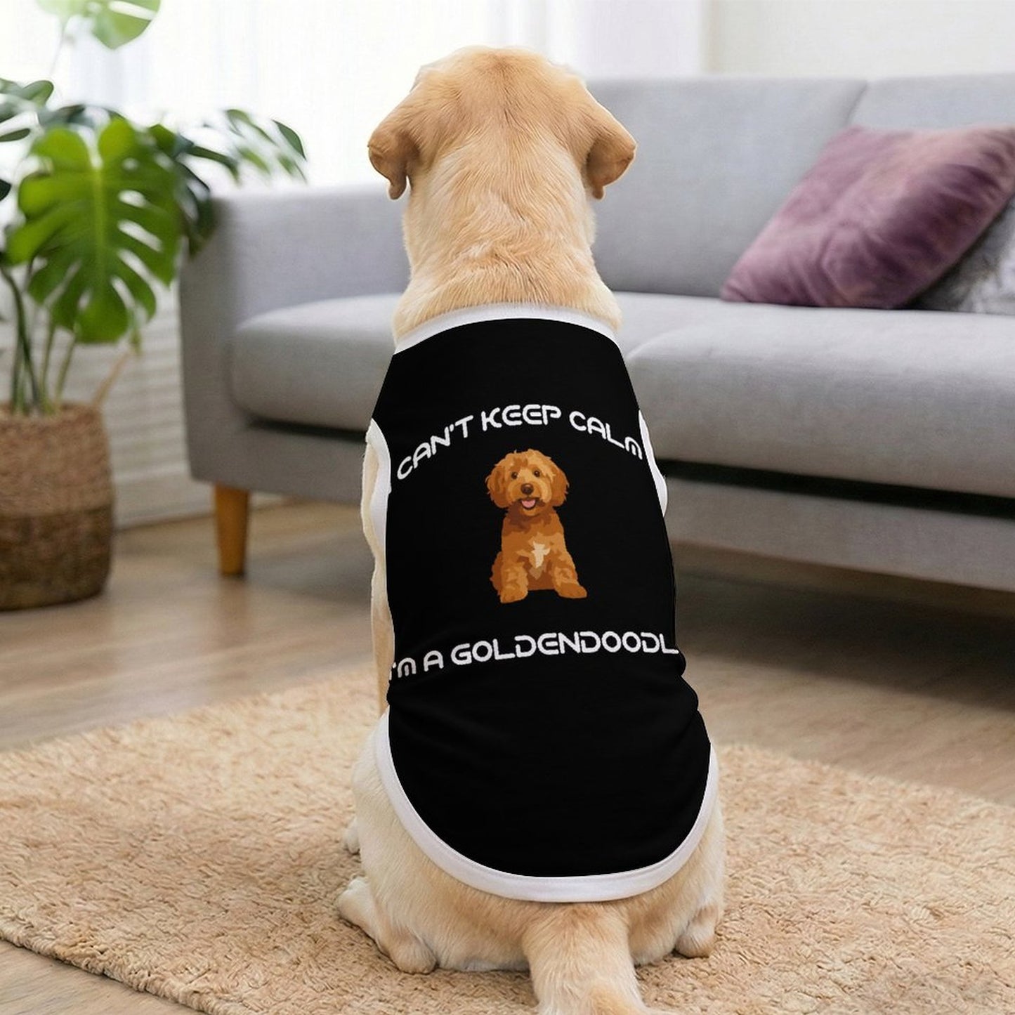 Plus Size I Can't Keep Calm Goldendoodle