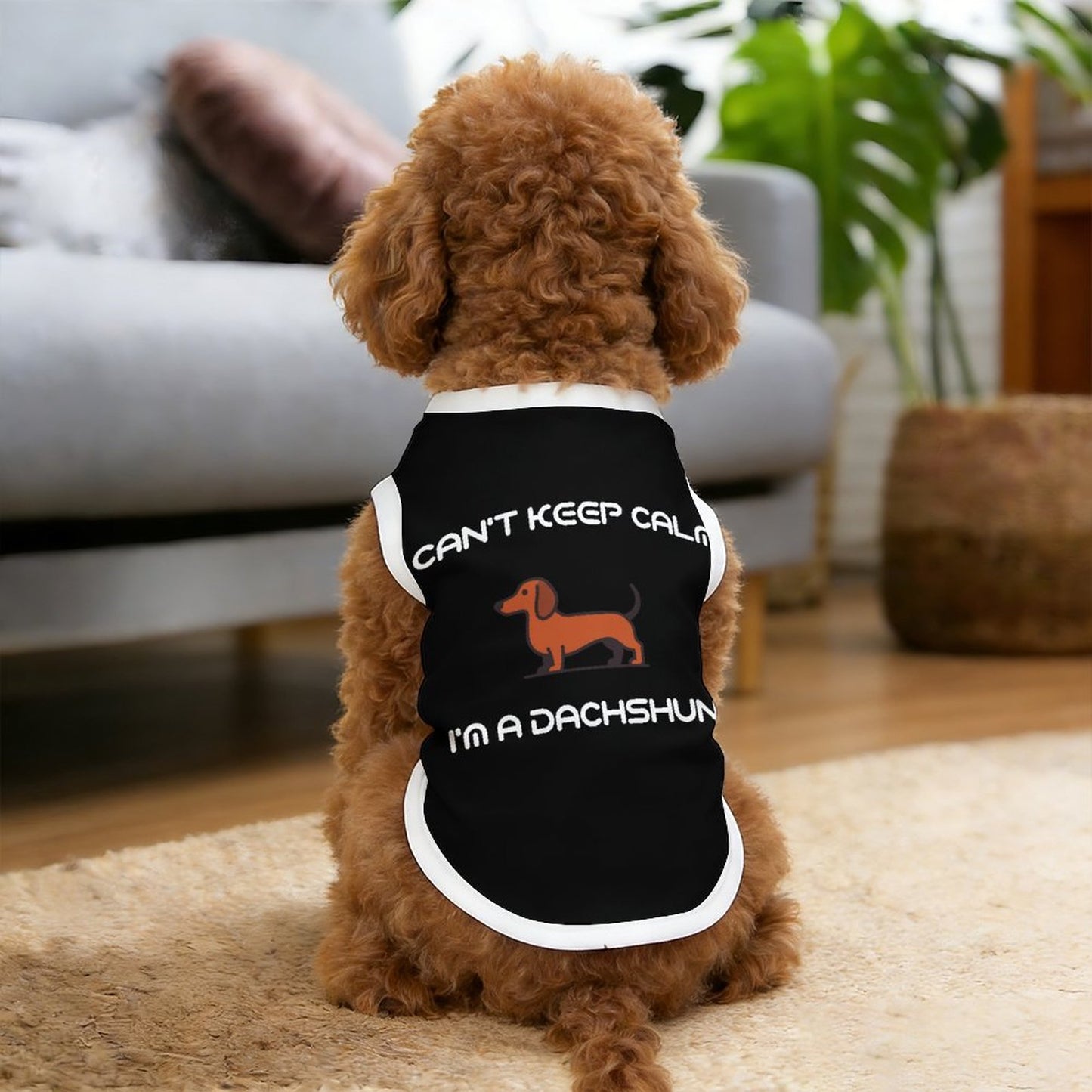 Can't Keep Calm Dachshund